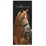 Beautiful horses 2025 - foto-kalender - wand-kalender - 30x70 Neumann verlage gmbh & co Sklep on-line