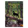 Beltz Warrior cats - verbannung aus dem schattenclan Sklep on-line