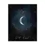 Nyx in the house of night Benbella books Sklep on-line