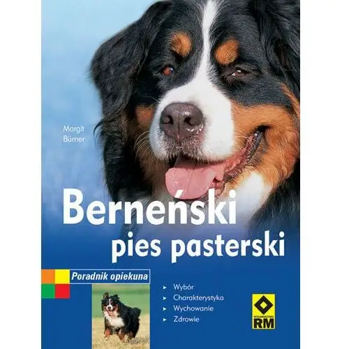 Berneński pies pasterski