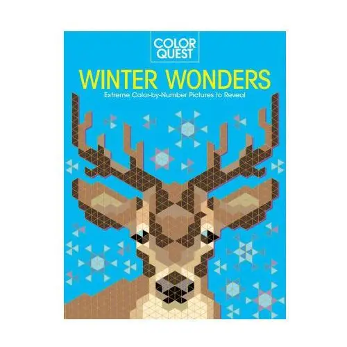 Bes pub Color quest: winter wonders: extreme color-by-number pictures to reveal