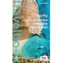 Korfu. lefkada, itaka, kefalonia, zakynthos. travelbook wyd. 2023 Sklep on-line