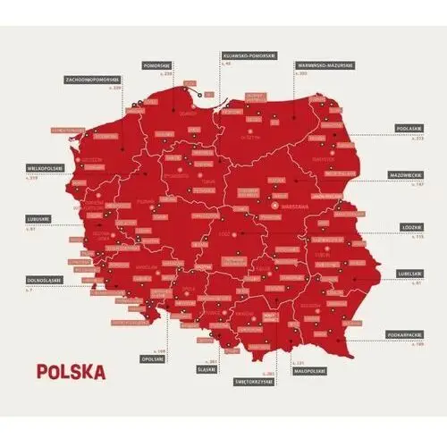 Polska z pomysłem. miasta i miasteczka Bezdroża