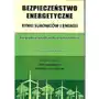 Bezpieczeństwo energetyczne. Rynki surowców i energii Sklep on-line