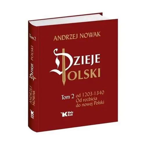 Dzieje polski od rozbicia do nowej polski tom 2