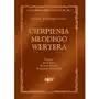 Cierpienia młodego wertera, biblios007 Sklep on-line