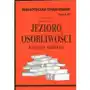 Jezioro osobliwości zeszyt 90 Biblioteka wysylkowa Sklep on-line