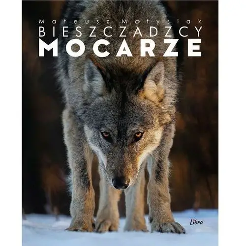 Bieszczadzcy mocarze