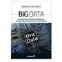 Big Data. Najlepsze praktyki budowy skalowalnych systemów obsługi danych w czasie rzeczywistym Sklep on-line