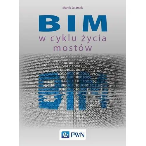 BIM w cyklu życia mostów