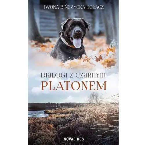 Dialogi z czarnym platonem Bińczycka-kołacz iwona