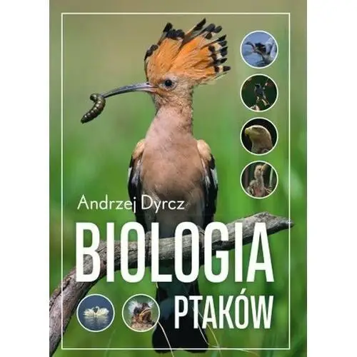 Biologia ptaków