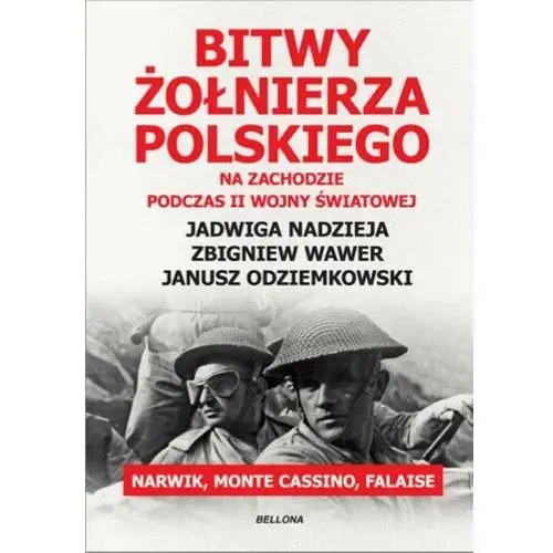 Bitwy żołnierza polskiego na Zachodzie. Narwik, Monte Cassino, Falaise - Tylko w Legimi możesz przeczytać ten tytuł przez 7 dni za darmo