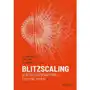 Blitzscaling. ścieżka błyskawicznej ekspansji firm Reid hoffman, chris yeh, sr. bill gates Sklep on-line