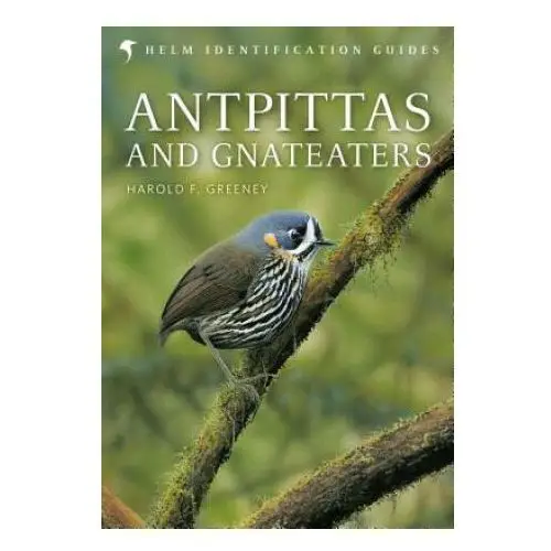 Antpittas and Gnateaters