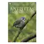 Antpittas and Gnateaters Sklep on-line