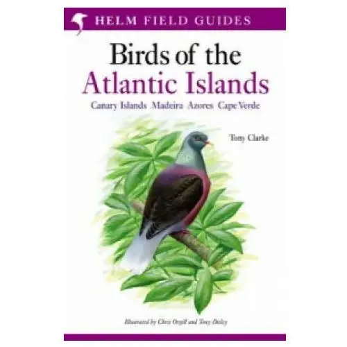Field guide to the birds of the atlantic islands Bloomsbury publishing
