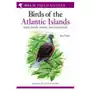 Field guide to the birds of the atlantic islands Bloomsbury publishing Sklep on-line