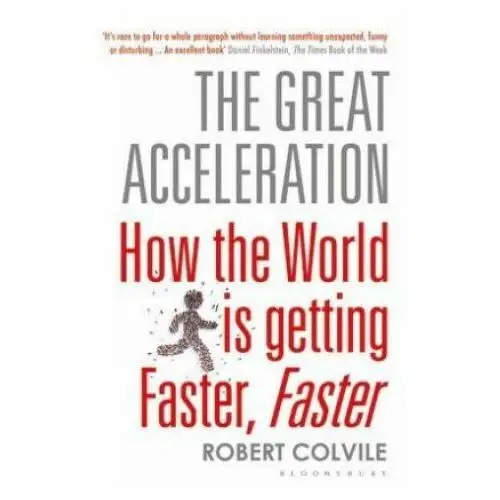 Great Acceleration