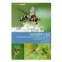 Hoverflies of Britain and North-west Europe Sklep on-line