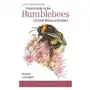 Pocket Guide to the Bumblebees of Great Britain and Ireland Sklep on-line