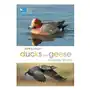 RSPB Spotlight Ducks and Geese Sklep on-line