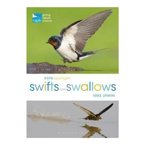 RSPB Spotlight Swifts and Swallows