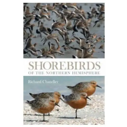 Shorebirds of the northern hemisphere Bloomsbury publishing