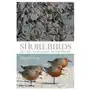 Shorebirds of the northern hemisphere Bloomsbury publishing Sklep on-line