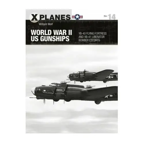 World war ii us gunships Bloomsbury publishing