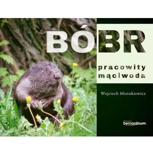 Bóbr - pracowity mąciwoda, 978-83-7823-947-5