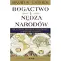 Bogactwo i nędza narodów David S. Landes, Hanna Jankowska Sklep on-line