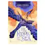 Riddle of the sea Bonnier books ltd Sklep on-line