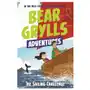 Bonnier zaffre Bear grylls adventure 12: the sailing challenge Sklep on-line