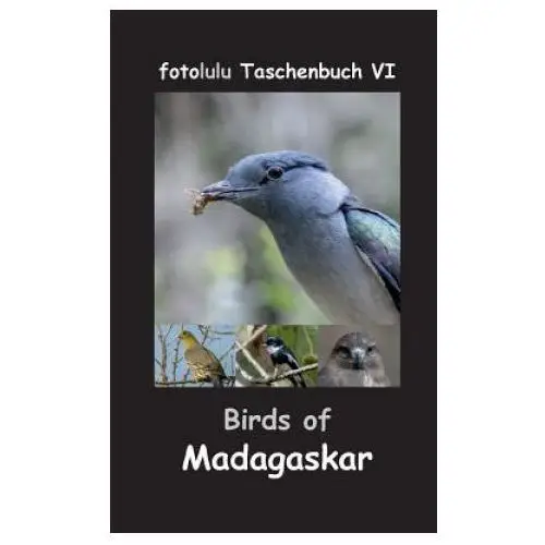 Birds of Madagaskar