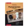 Traumrasse Pomeranian Sklep on-line