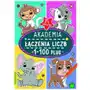 Akademia łączenia liczb 1-100 plus Booksandfun Sklep on-line