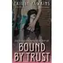 Bound By Trust - 21 Stories Stories of BDSM Romance and Redemption Sklep on-line