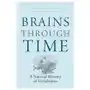 Brains through time Oxford university press inc Sklep on-line