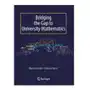 Bridging the Gap to University Mathematics Hurst, Edward; Gould, Martin Sklep on-line