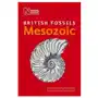 British mesozoic fossils The natural history museum Sklep on-line