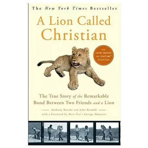 A lion called christian Broadway books