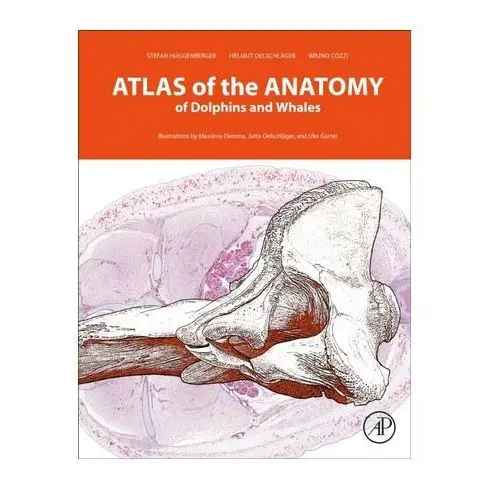 Atlas of the anatomy of dolphins and whales Bronnie ware