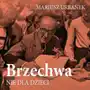 Brzechwa nie dla dzieci Sklep on-line