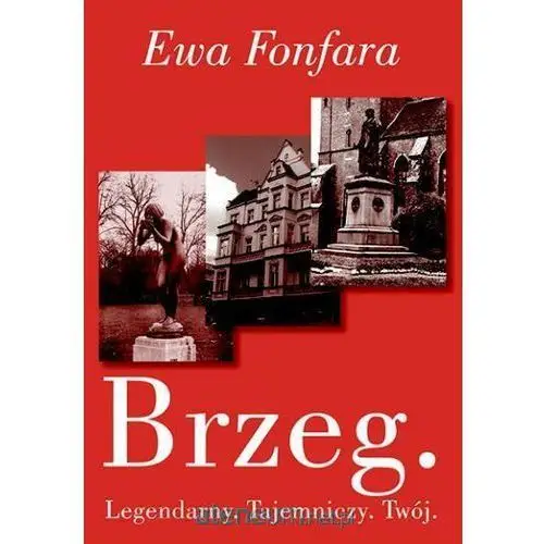 Brzeg. Legendarny. Tajemniczy. Twój