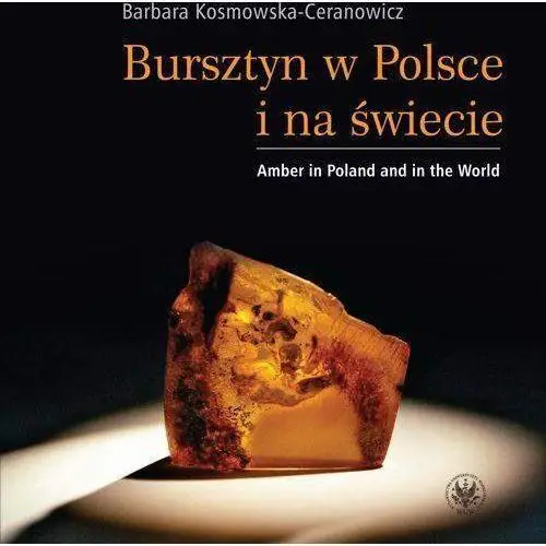 Bursztyn w polsce i na świecie. amber in poland and in the world