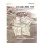 Bychawa 1919-1939. Kartograficzna rekonstrukcja miasta Sklep on-line