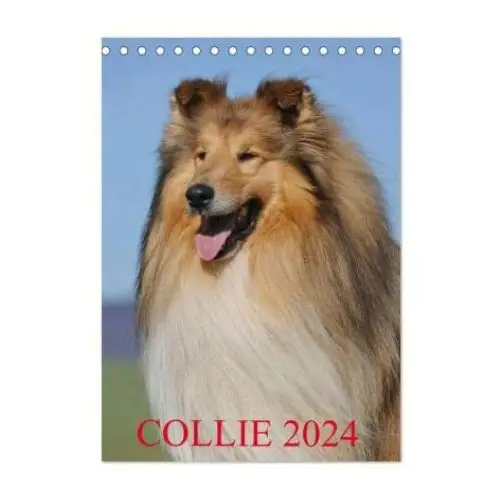 Collie 2024 (Tischkalender 2024 DIN A5 hoch), CALVENDO Monatskalender