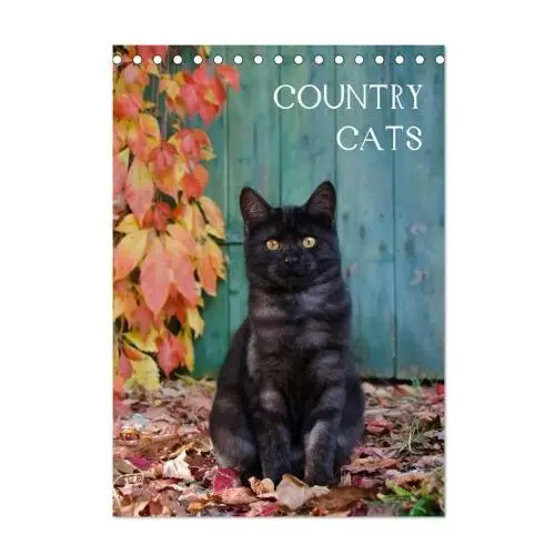 Country cats (tischkalender 2025 din a5 hoch), monatskalender Calvendo