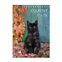 Country cats (tischkalender 2025 din a5 hoch), monatskalender Calvendo Sklep on-line